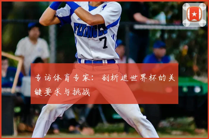 专访体育专家：剖析进世界杯的关键要求与挑战