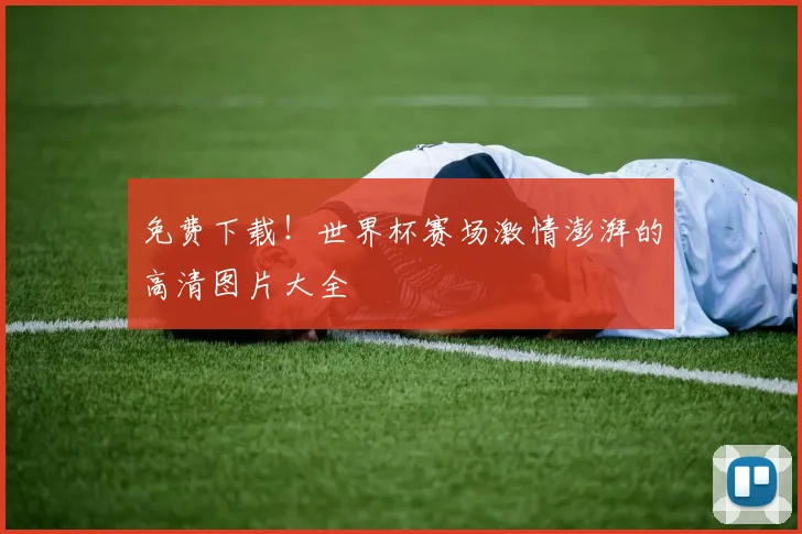 免费下载！世界杯赛场激情澎湃的高清图片大全