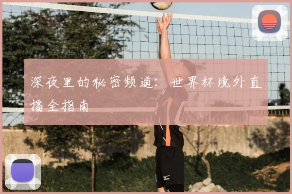 深夜里的秘密频道：世界杯境外直播全指南