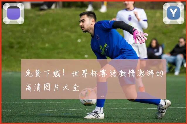免费下载！世界杯赛场激情澎湃的高清图片大全
