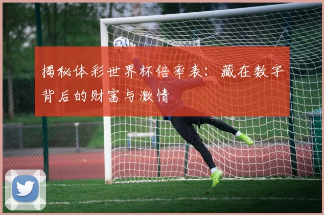 揭秘体彩世界杯倍率表:藏在数字背后的财富与激情