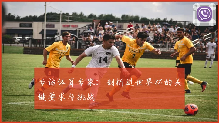 专访体育专家：剖析进世界杯的关键要求与挑战