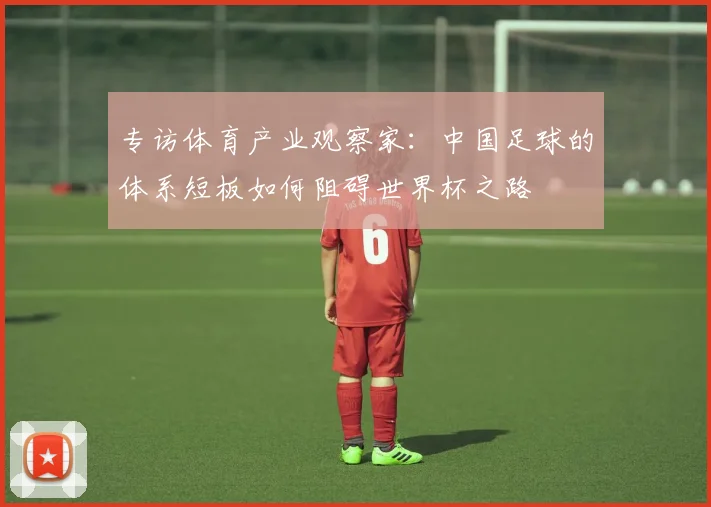 专访体育产业观察家：中国足球的体系短板如何阻碍世界杯之路
