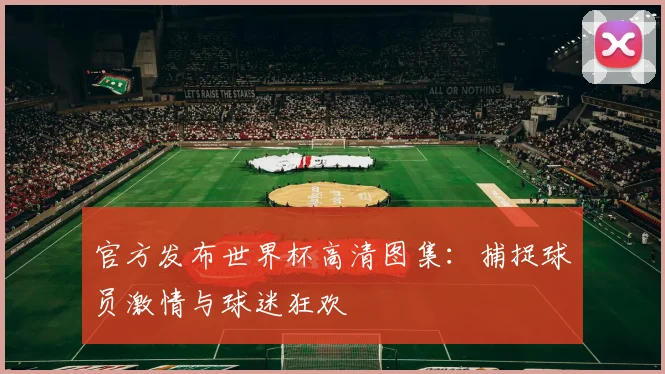 官方发布世界杯高清图集：捕捉球员激情与球迷狂欢