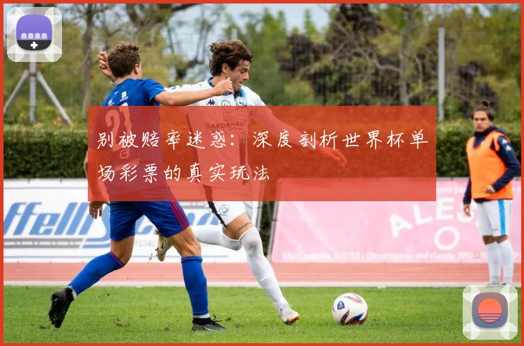 别被赔率迷惑：深度剖析世界杯单场彩票的真实玩法
