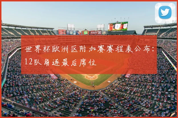 世界杯欧洲区附加赛赛程表公布：12队角逐最后席位