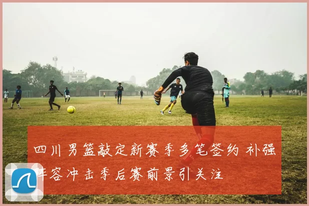 四川男篮敲定新赛季多笔签约 补强阵容冲击季后赛前景引关注