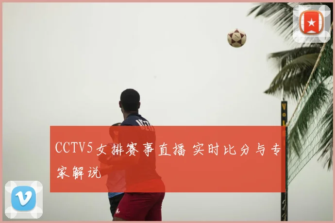CCTV5女排赛事直播 实时比分与专家解说