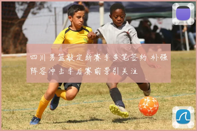 四川男篮敲定新赛季多笔签约 补强阵容冲击季后赛前景引关注